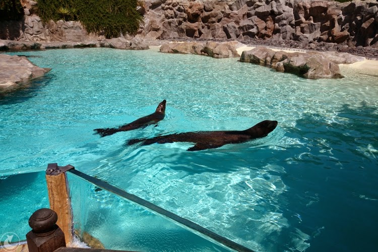 siam park Teneryfa opinie | jest-rudo blog