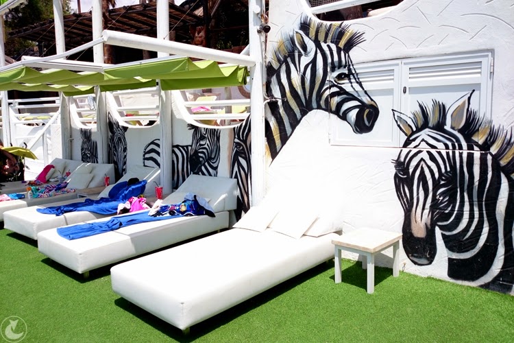 monkey beach club Teneryfa opinie | jest-rudo blog