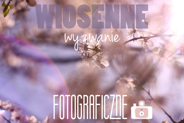 wiosenne wyzwanie fotograficzne u jest rudo