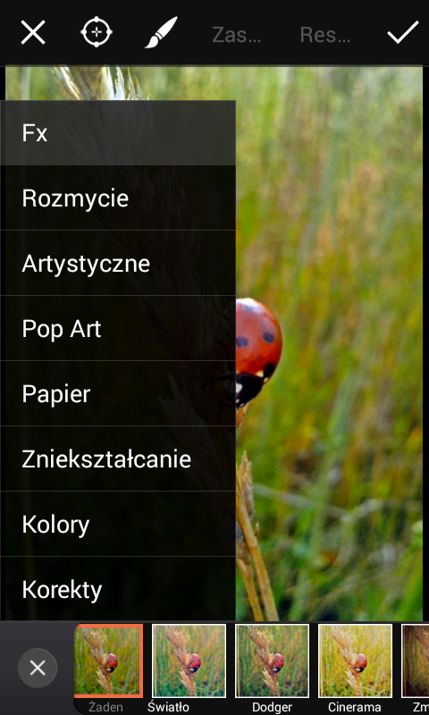 rozmyte tło na zdjęciu