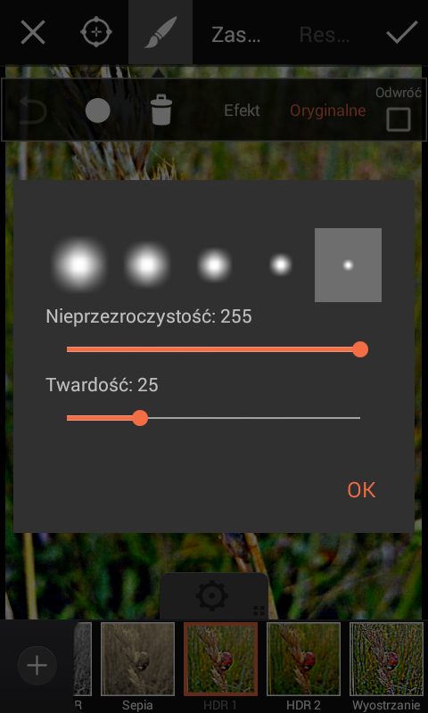 rozmyte tło na zdjęciu picsart