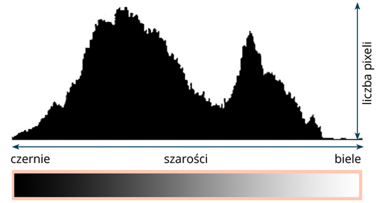 polski i angielski słownik fotograficzny histogram