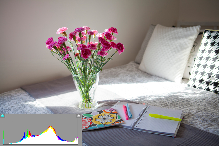 co to jest histogram