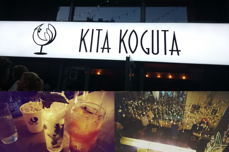 kita koguta warszawa