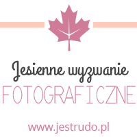 jesienne wyzwanie fotograficzne jest rudo