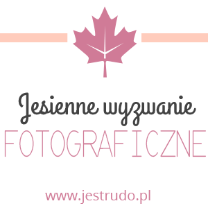 jesienne wyzwanie fotograficzne jest rudo