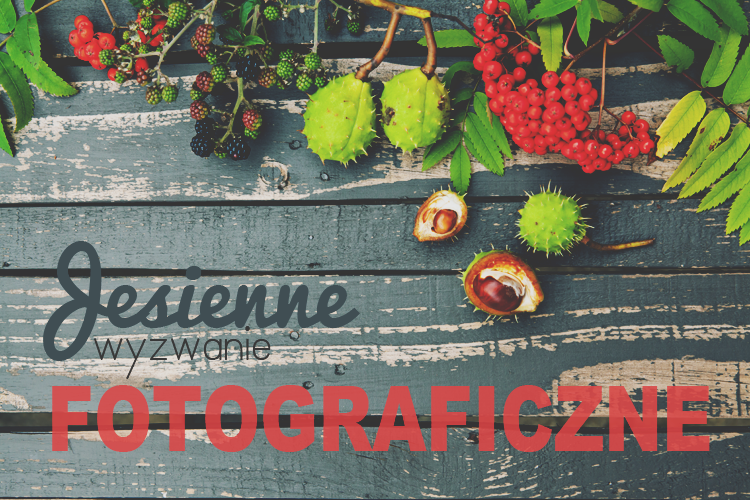 wyzwanie fotograficzne blog jest rudo