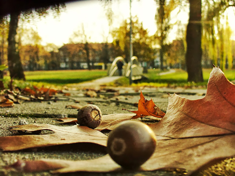 blog fotograficzny dla amatorów