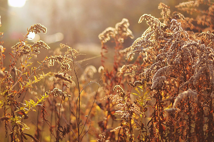 blog fotograficzny dla amatorów