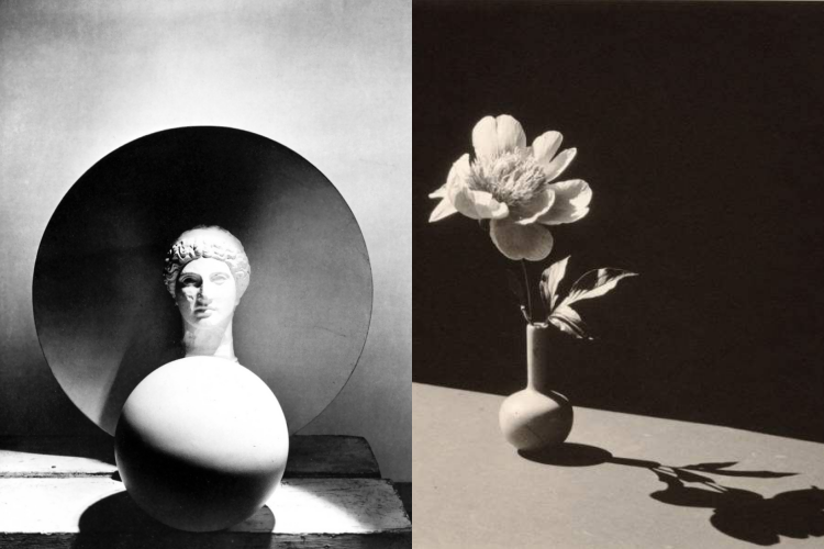 martwa natura Horst P. Horst Horst P. Horst fotograf mody