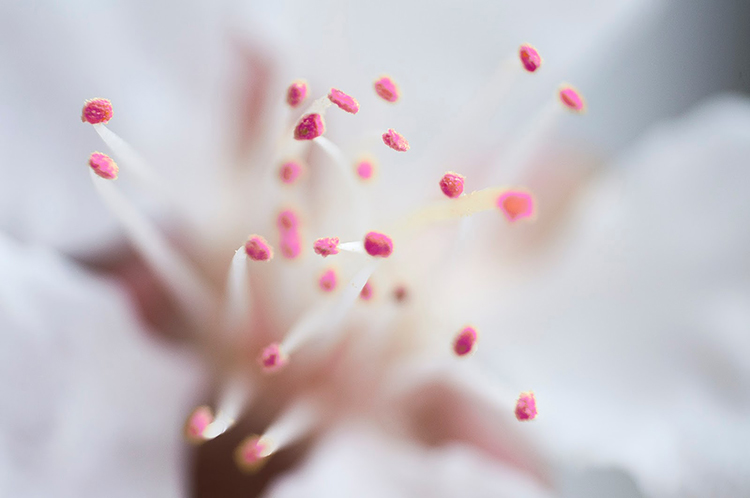 wyzwanie fotograficzne, konkurs | blog fotograficzny