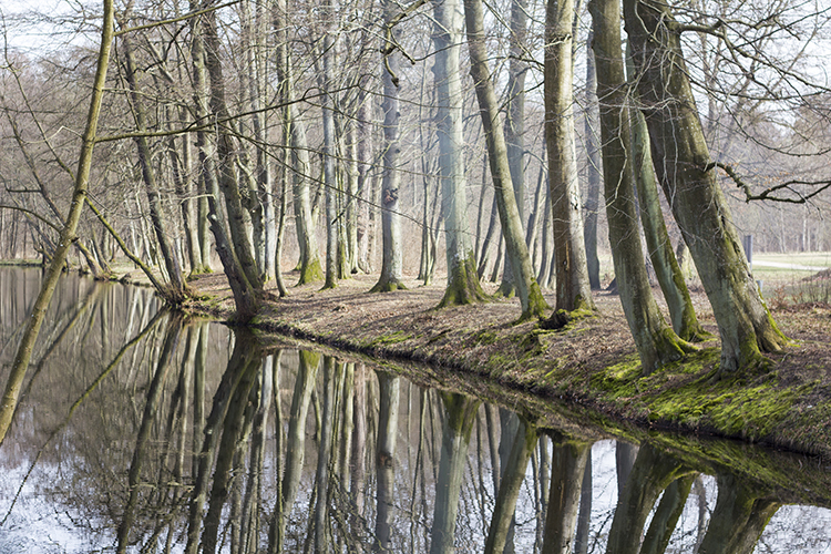 fotografia krajobrazu - poradnik fotografia krajobrazu - poradnik dla początkujących