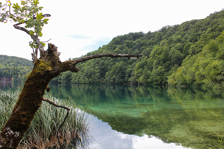 poradnik - fotografia krajobrazu fotografia krajobrazu - poradnik dla początkujących