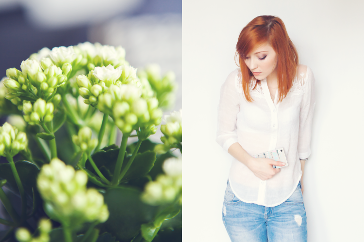 dyptyk | blog fotograficzny - jest rudo Natalia Sławek