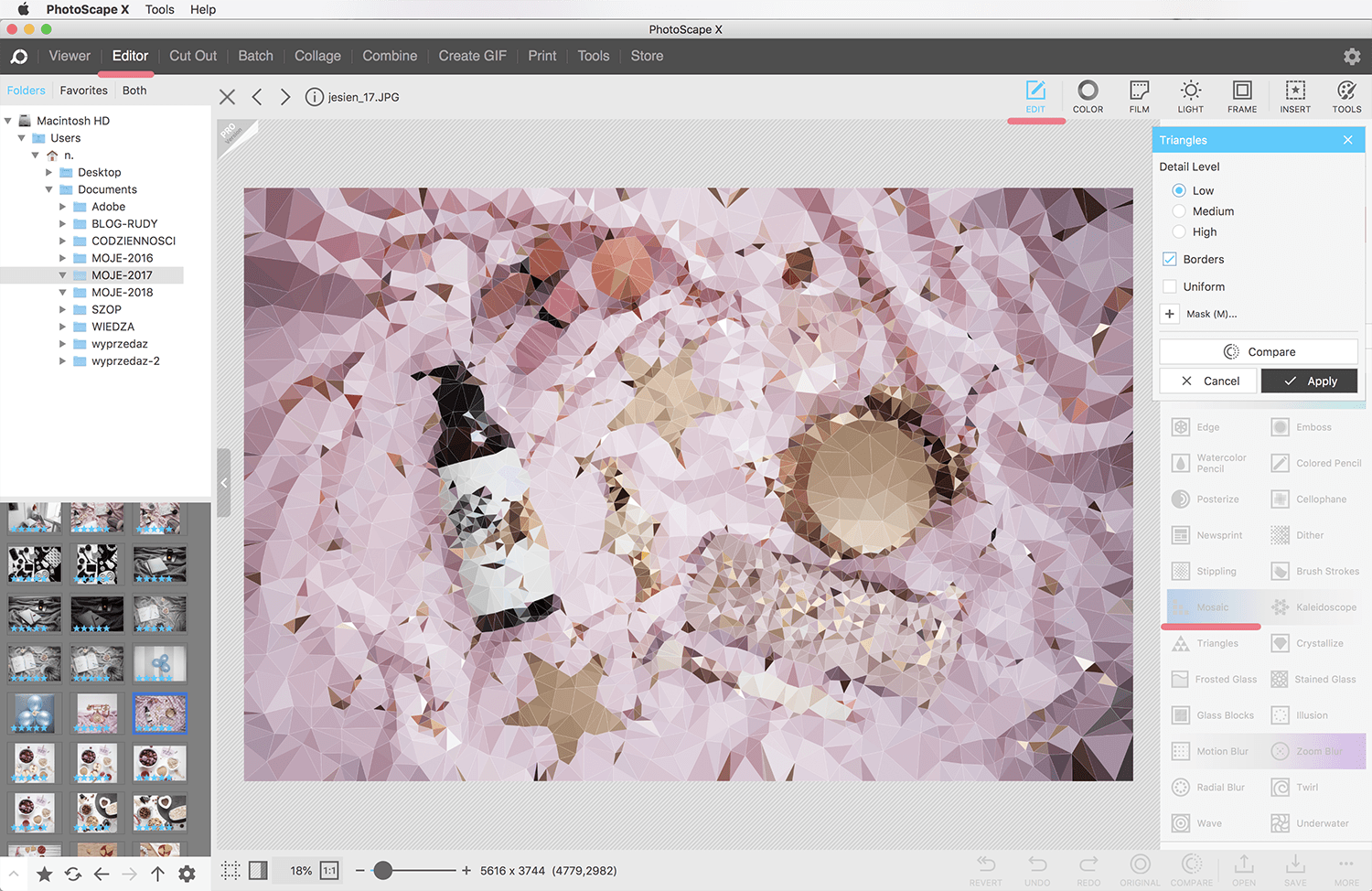 program do edycji zdjęć za darmo photoscape mozaika